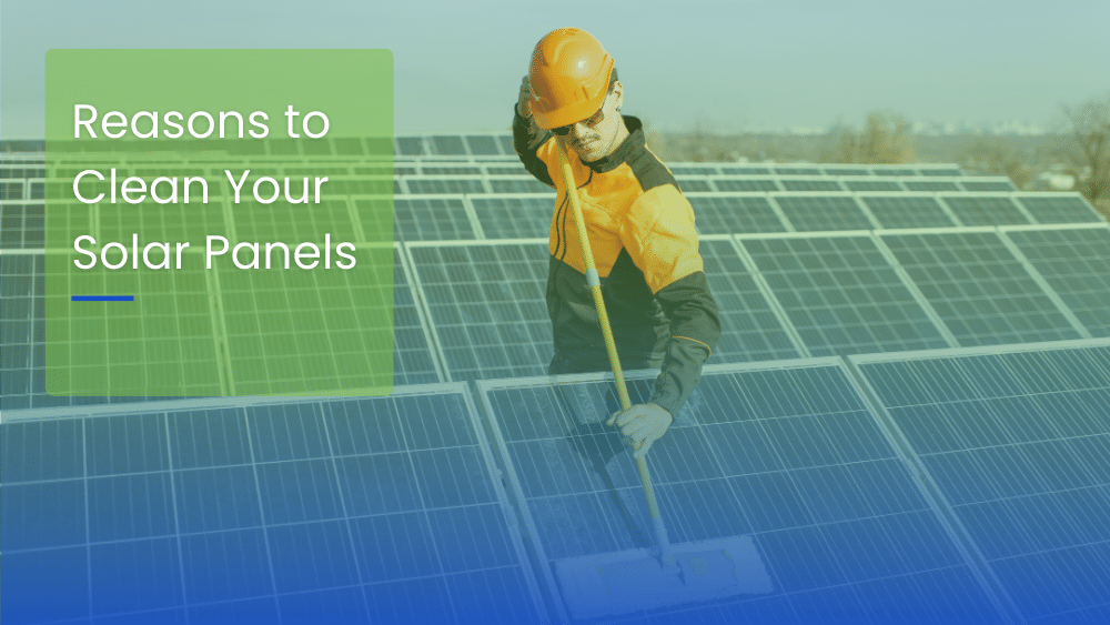 Reasons to clean your Solar Panels